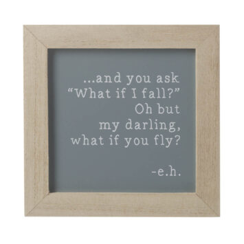 What If I Fly Frame