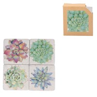 Succulent Coasters
