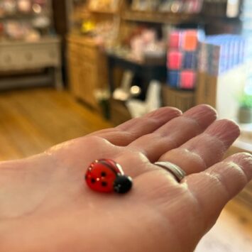 Adorable Little Glass Ladybird